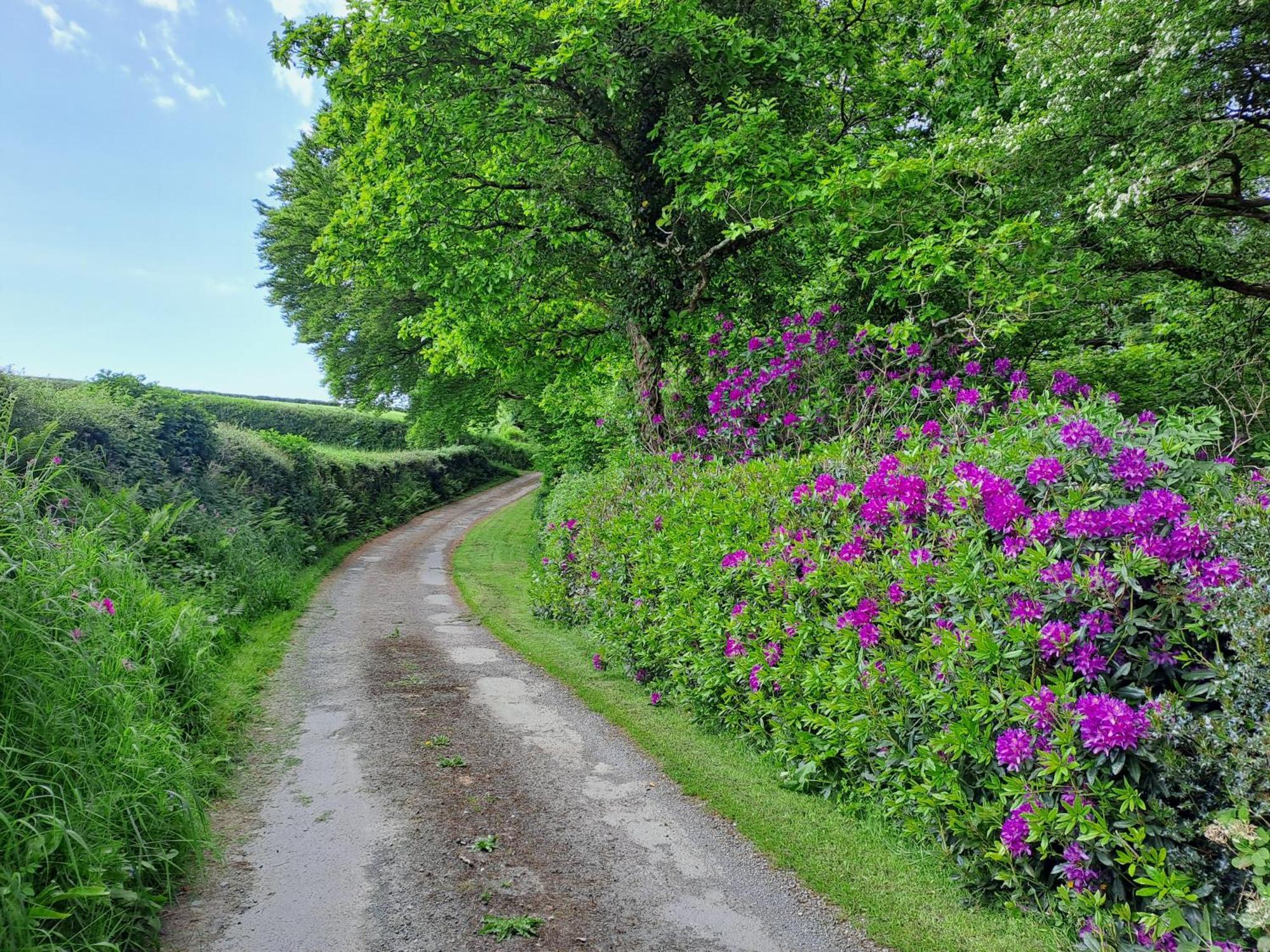 Greenways Valley Holiday Park Great Torrington Kültér fotó